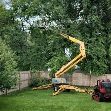 North Rock Springs, WY Tree Removal Company